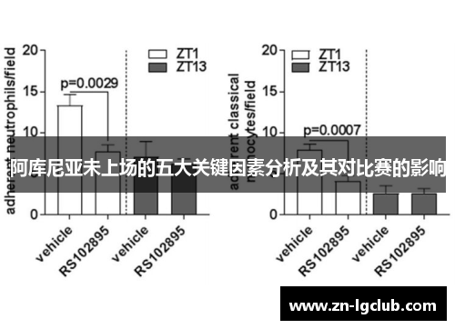 阿库尼亚未上场的五大关键因素分析及其对比赛的影响