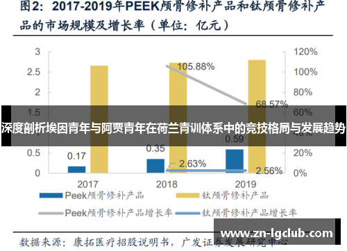 深度剖析埃因青年与阿贾青年在荷兰青训体系中的竞技格局与发展趋势 深度剖析埃因青年与阿贾青年在荷兰青训体系中的竞技格局与发展趋势