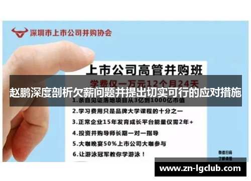 赵鹏深度剖析欠薪问题并提出切实可行的应对措施
